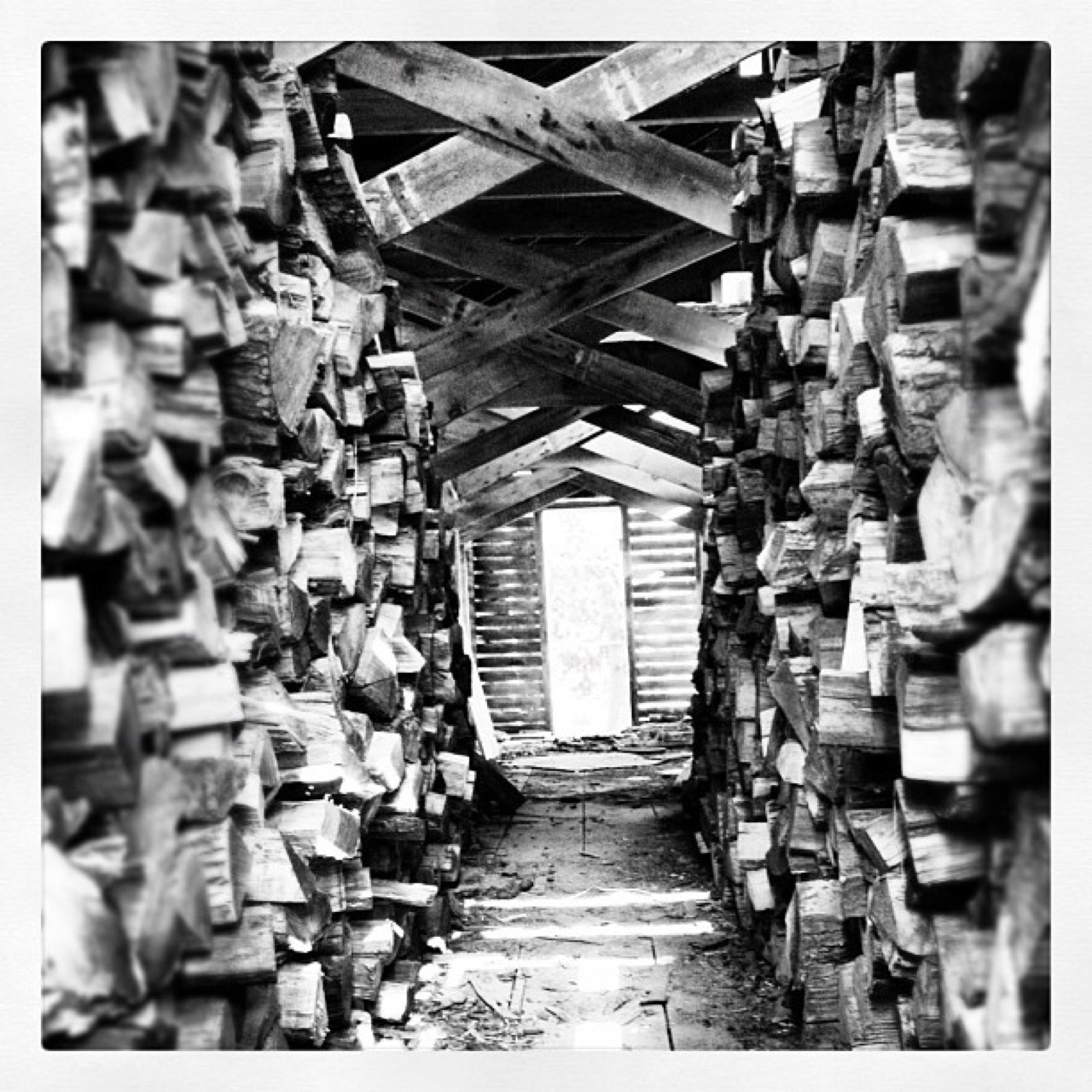 The wood shed