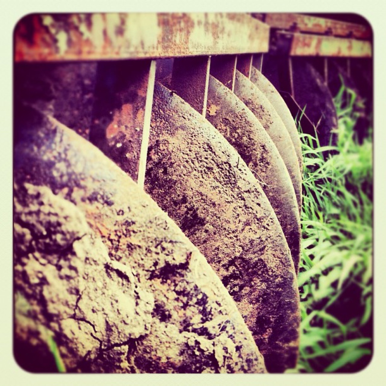 Rusted disc harrow in the grass