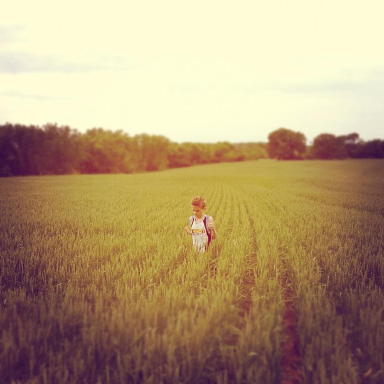 A boy in a field of young grain