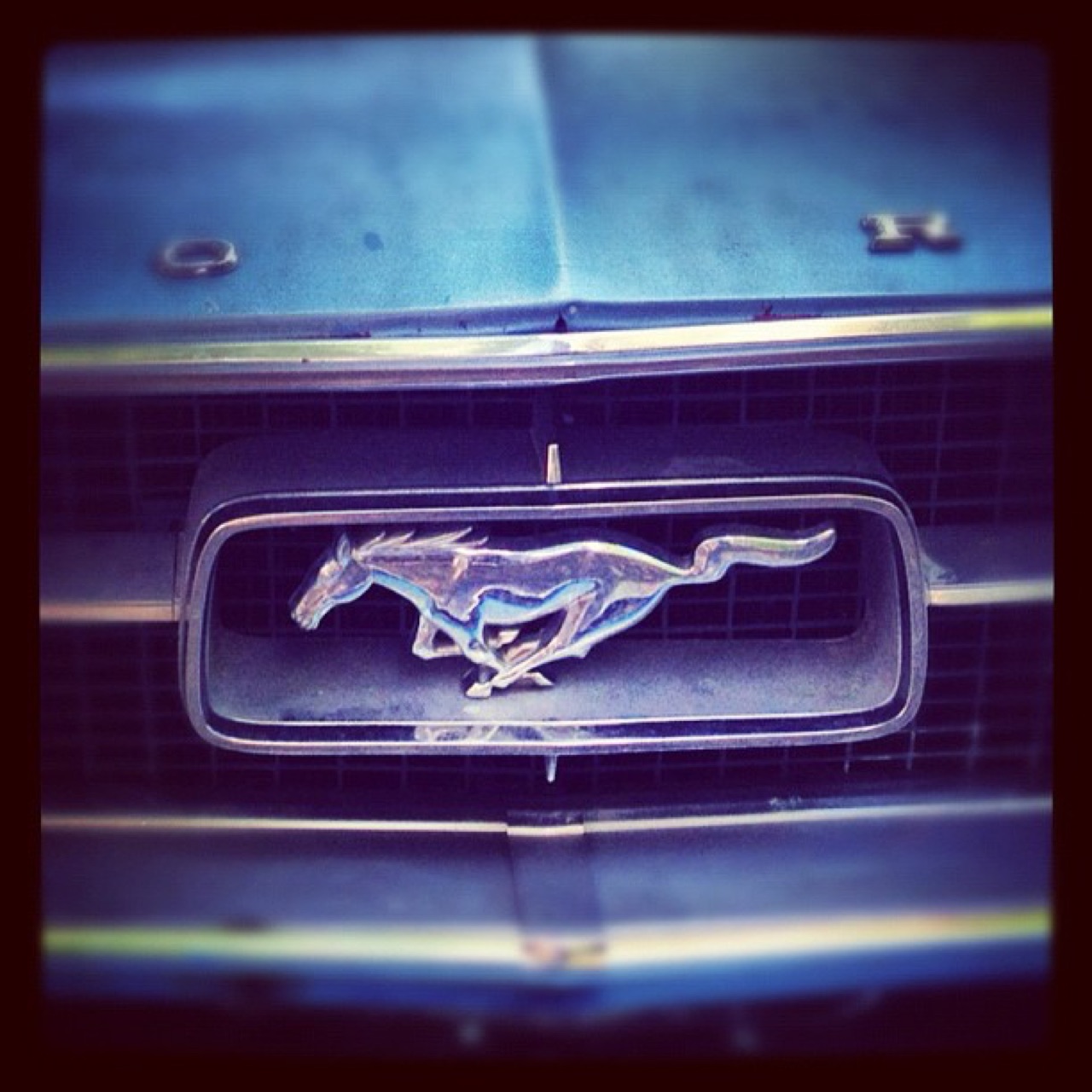 Mustang badge on a blue grille