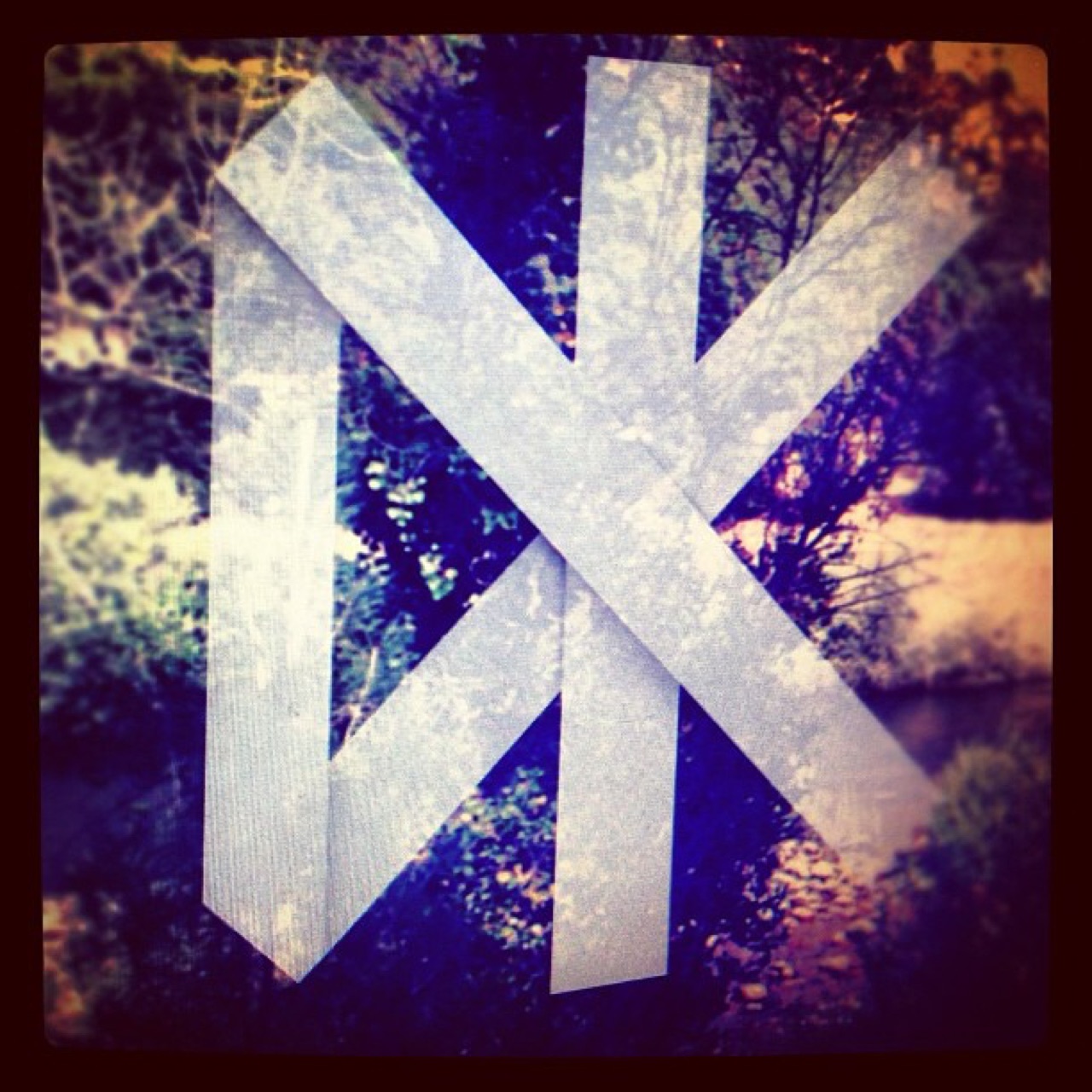 A taped glyph against the trees