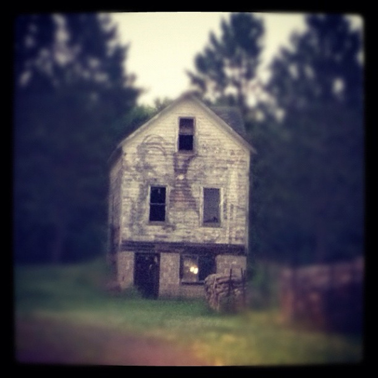 Weathered farmhouse at the edge of the pines