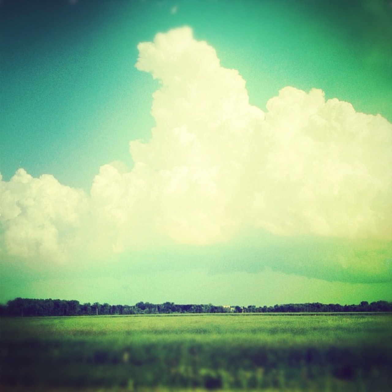 Summer thunderhead over a green field