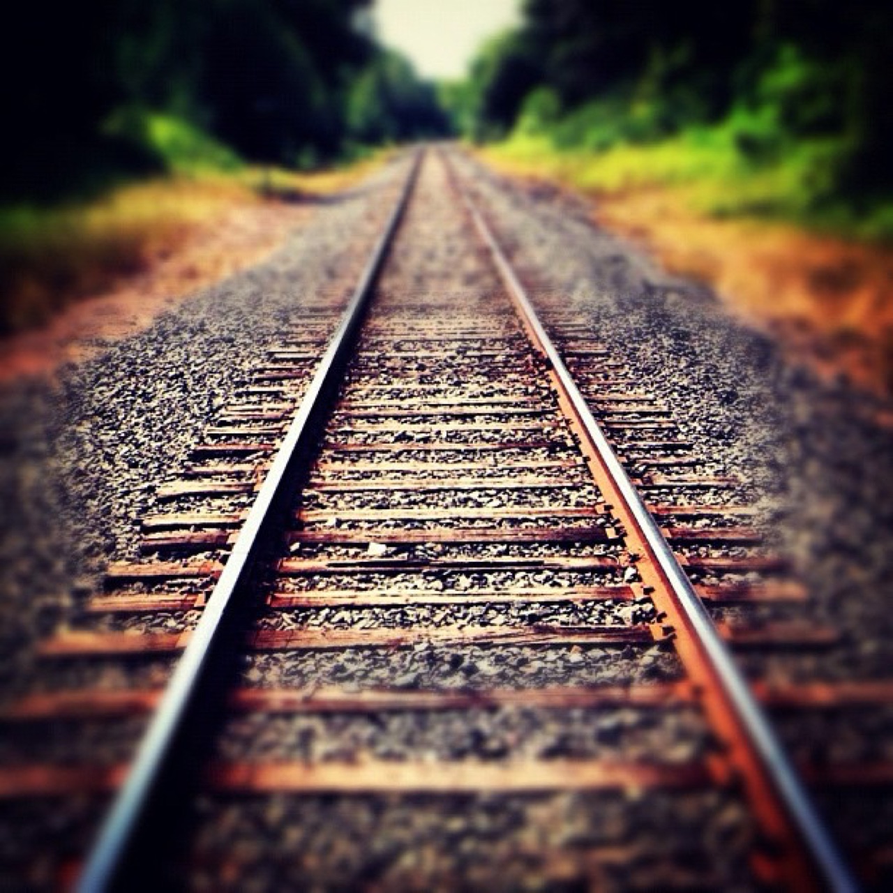 An old passenger train still rides these rails through old timber…