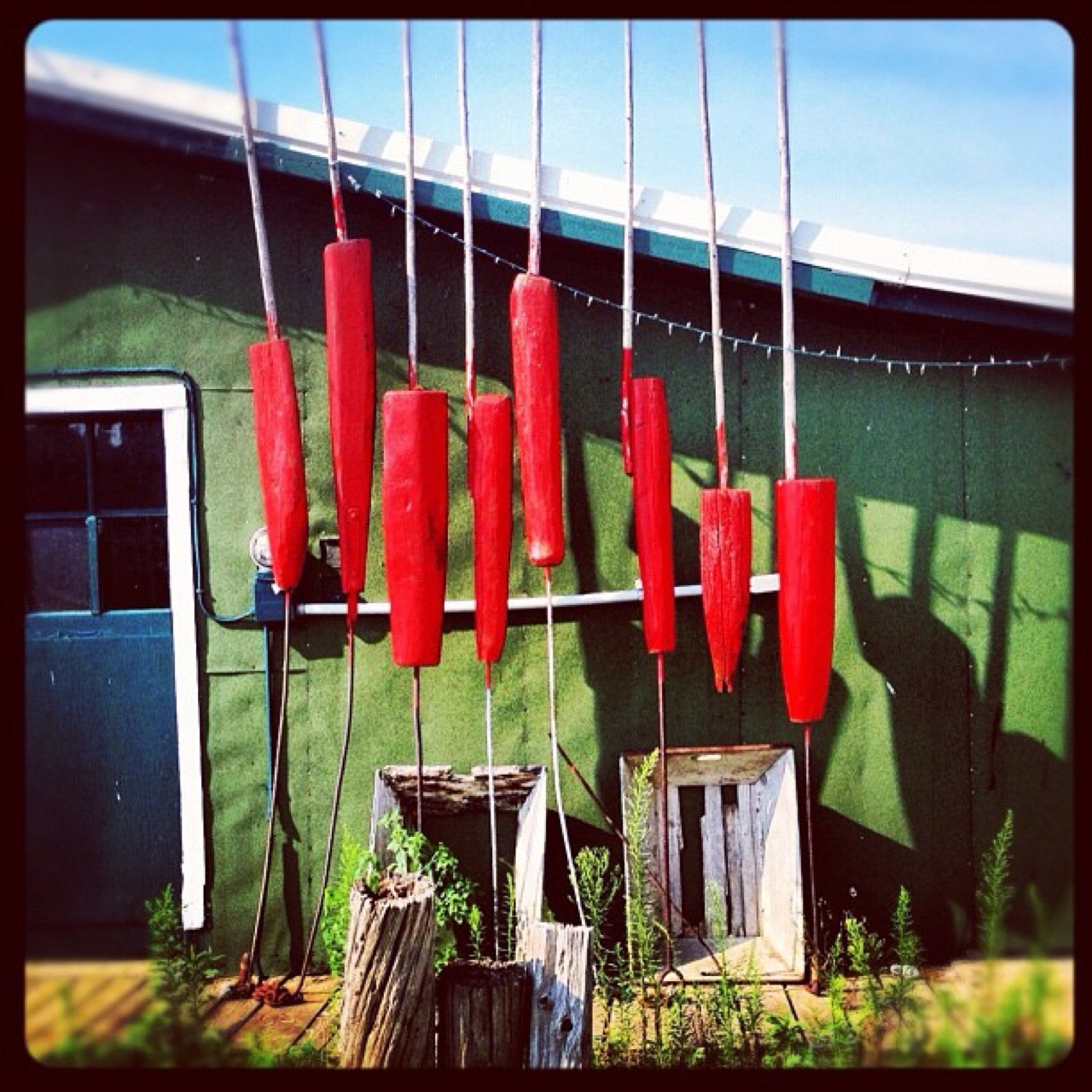 Giant wooden cattails against a green shed