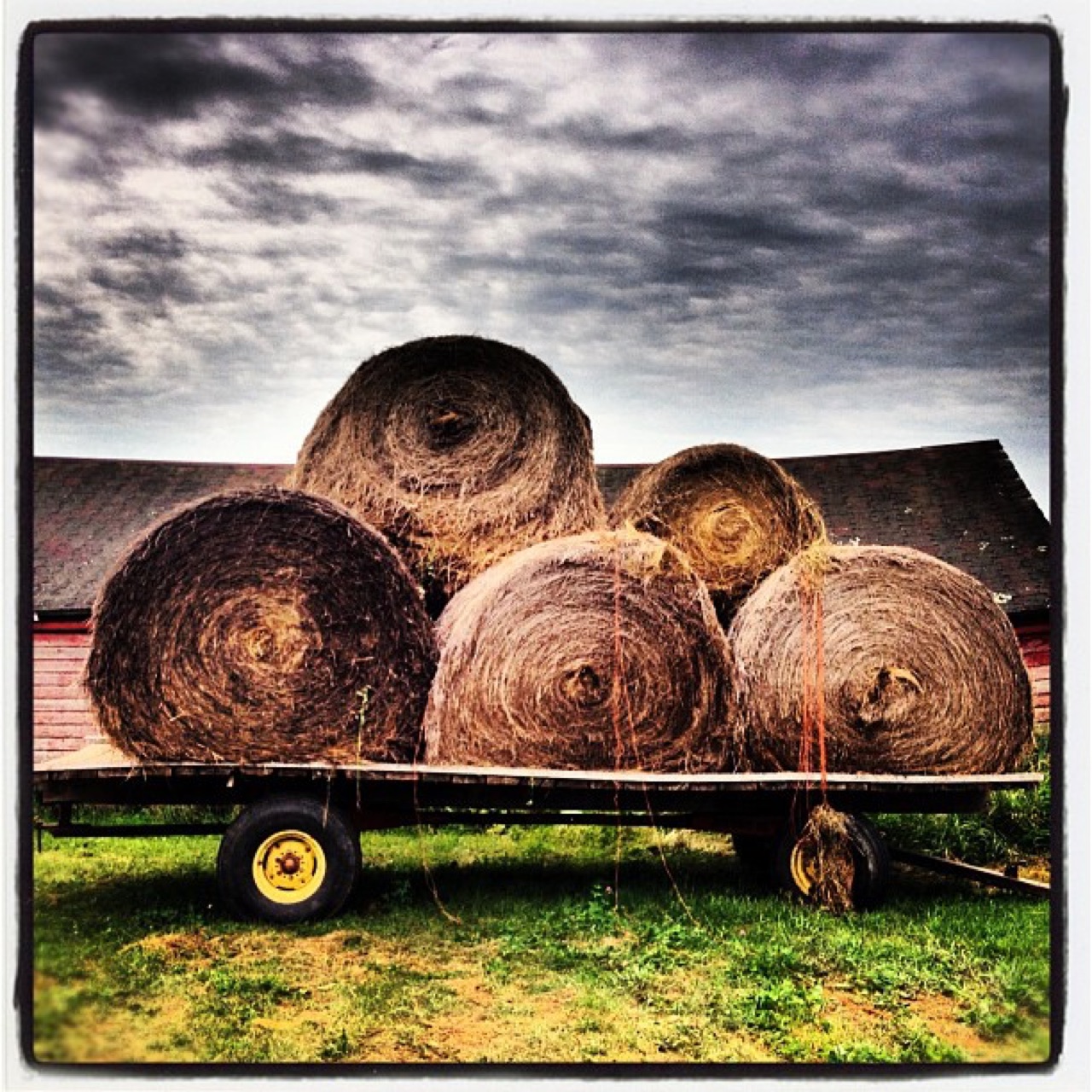 Round bales loaded on a hay wagon