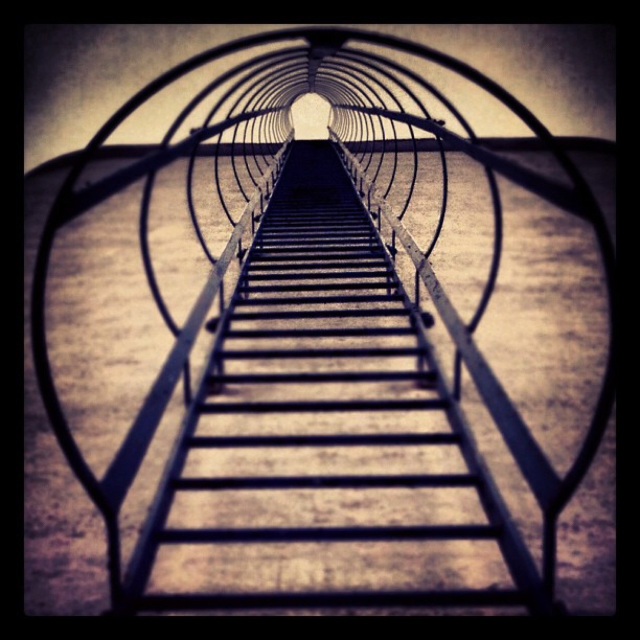 Looking up a caged rooftop ladder