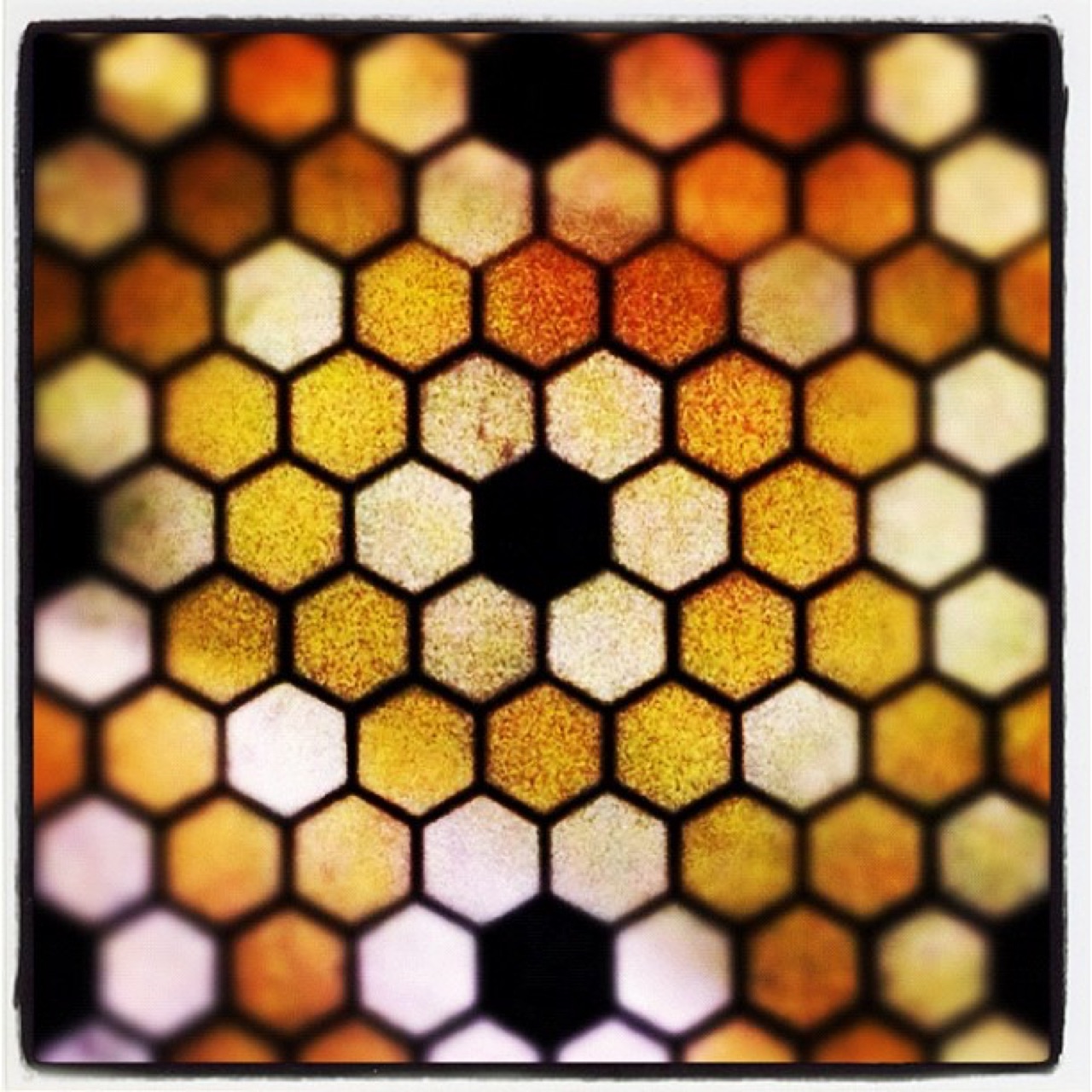 Honeycomb of amber glass tiles
