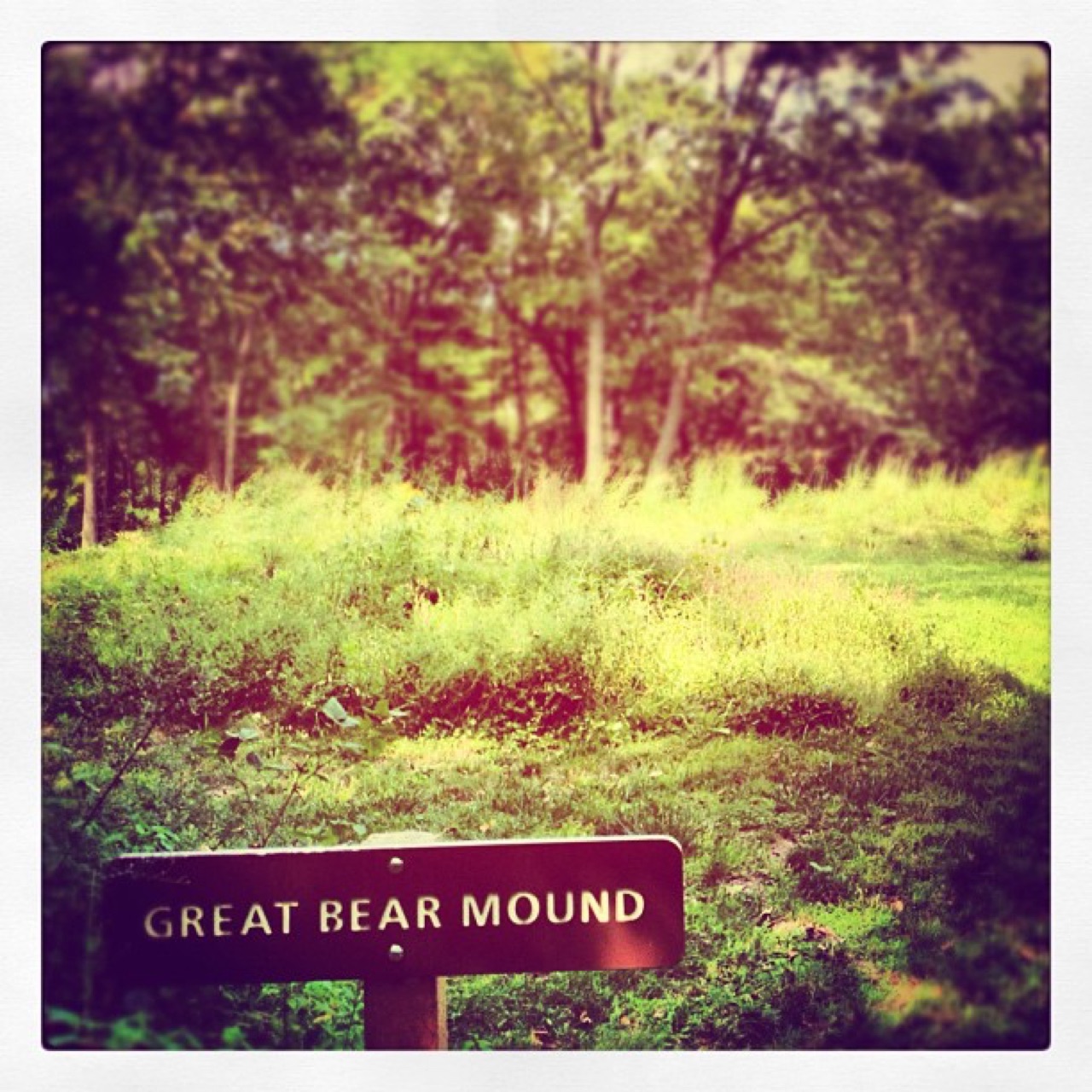 Great Bear Mound behind its trail sign