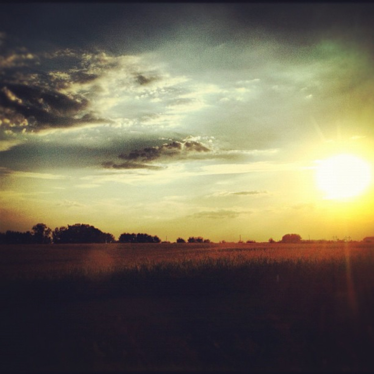 Sunset over a late-summer field