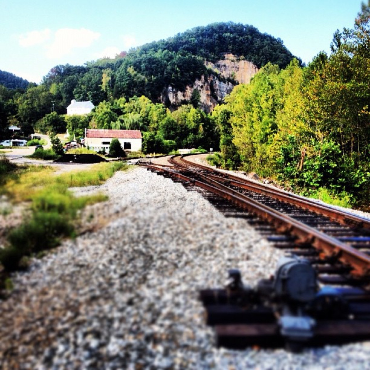 Rail line curving beneath a wooded bluff