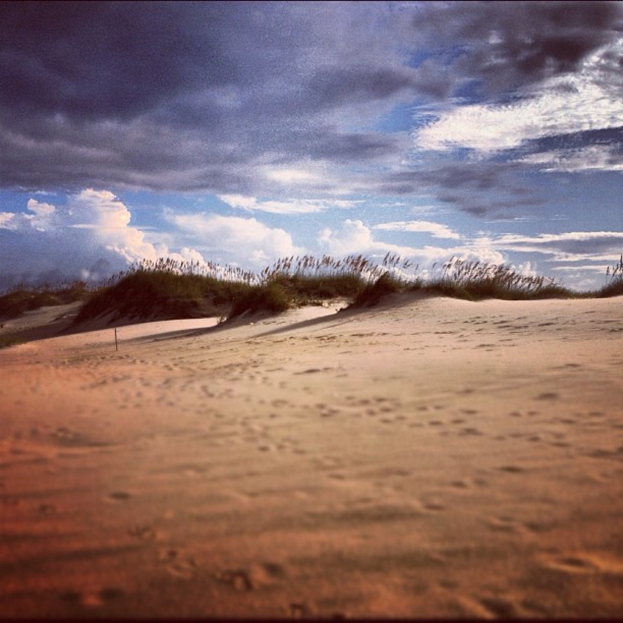 Footprints across a dune field