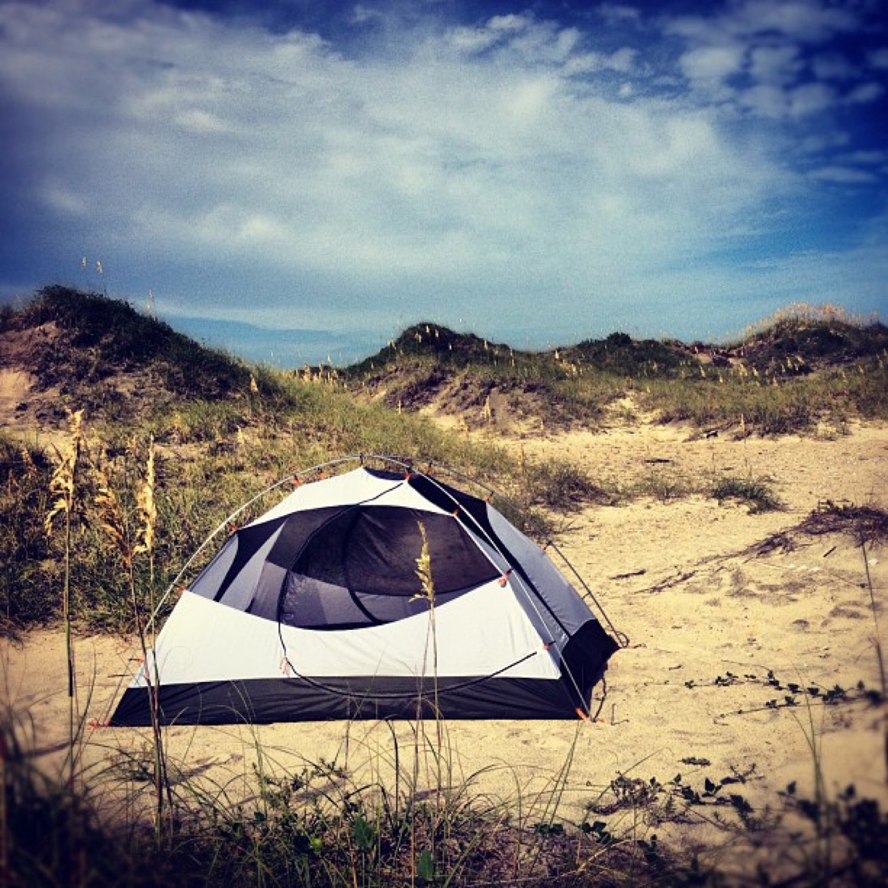 Tent pitched in the dunes