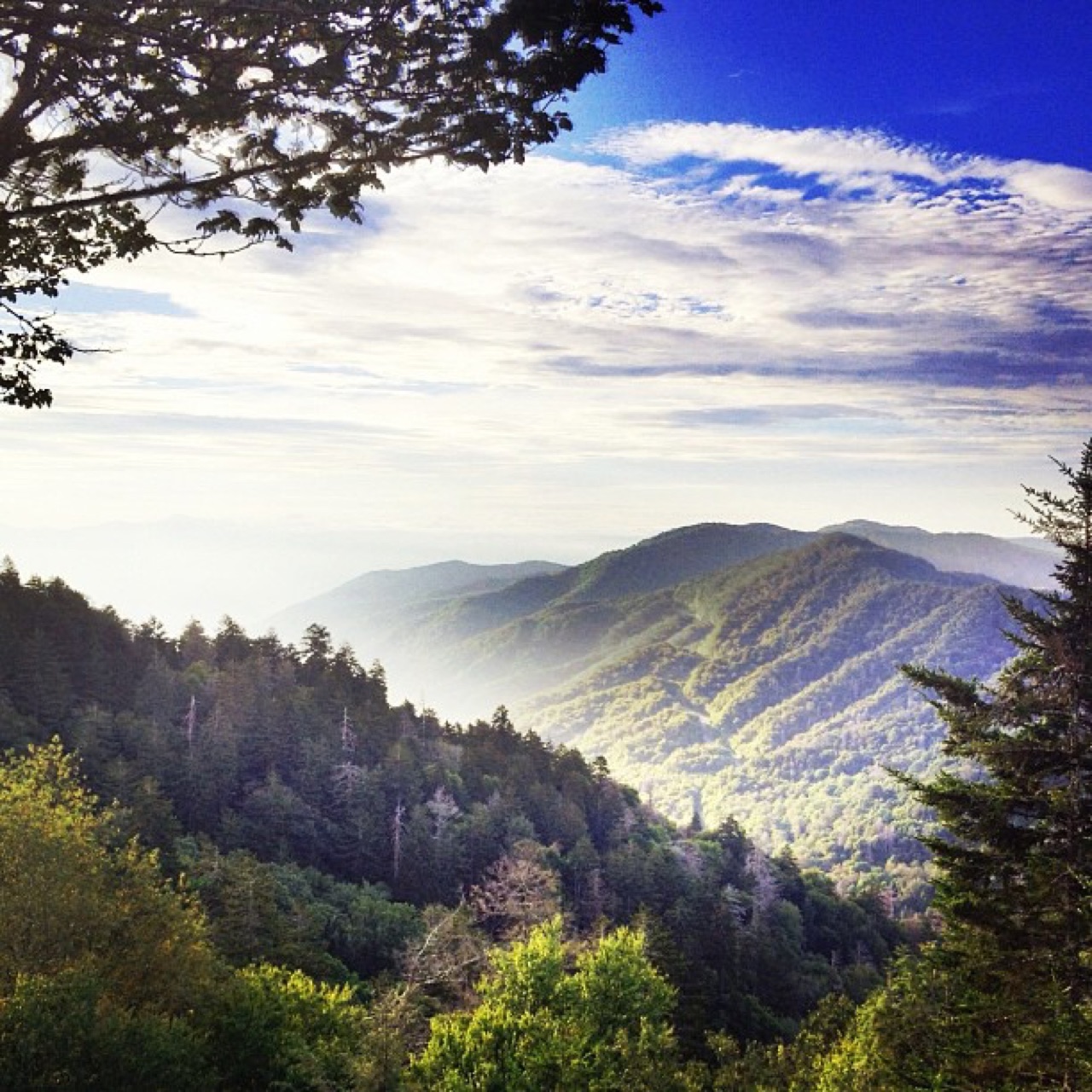 My home in the #smokies for a few days.