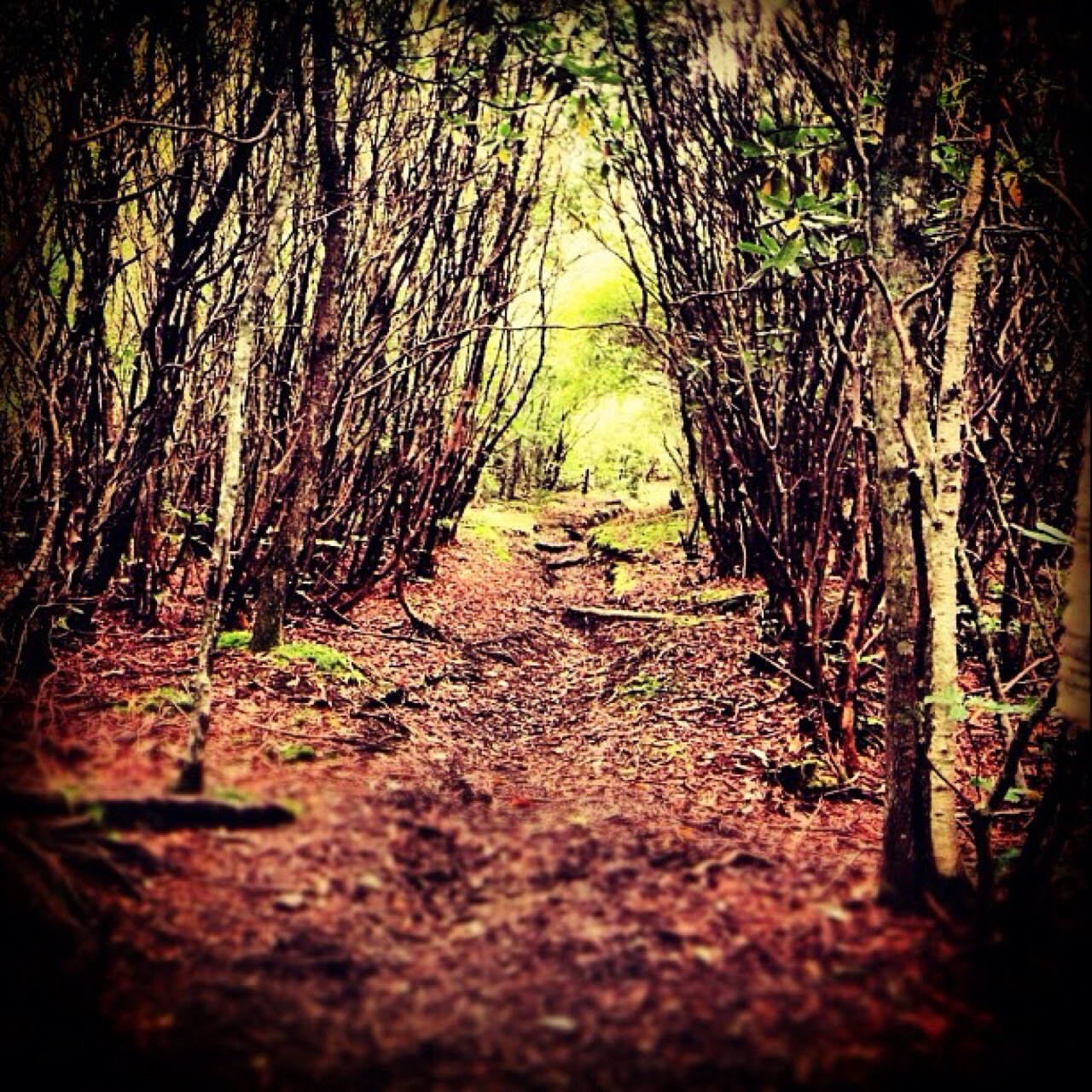 What's up there at the end of that path?