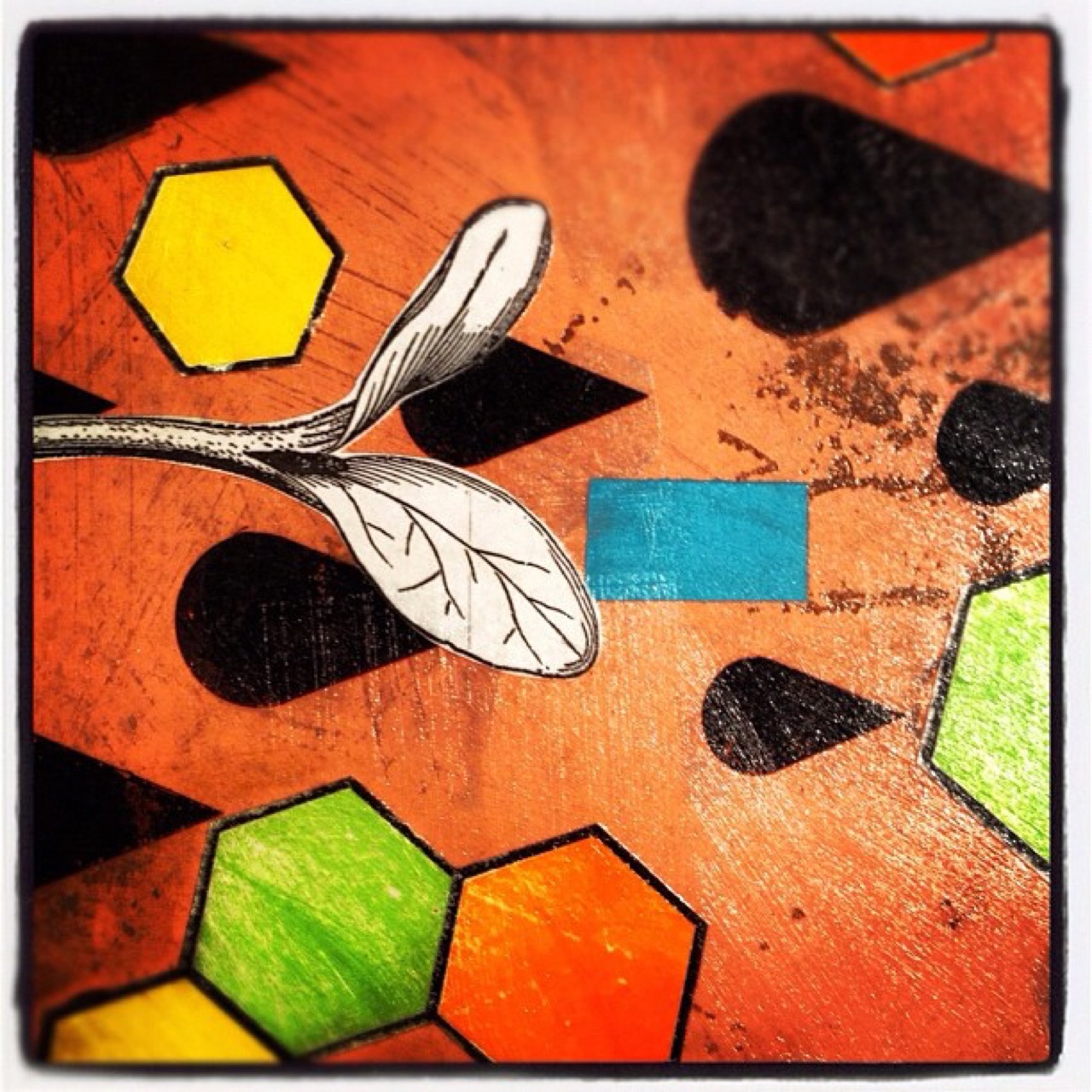 Collage detail with hexagons and a seedling