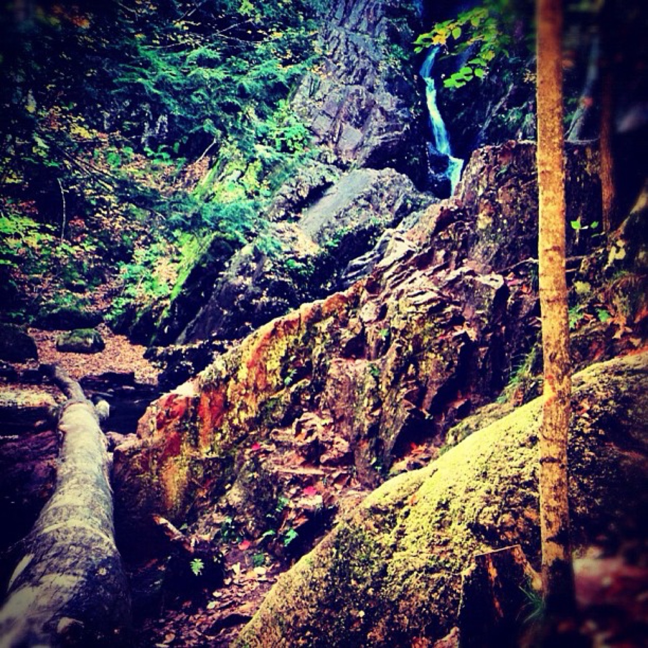 Thin waterfall threading a rocky gorge
