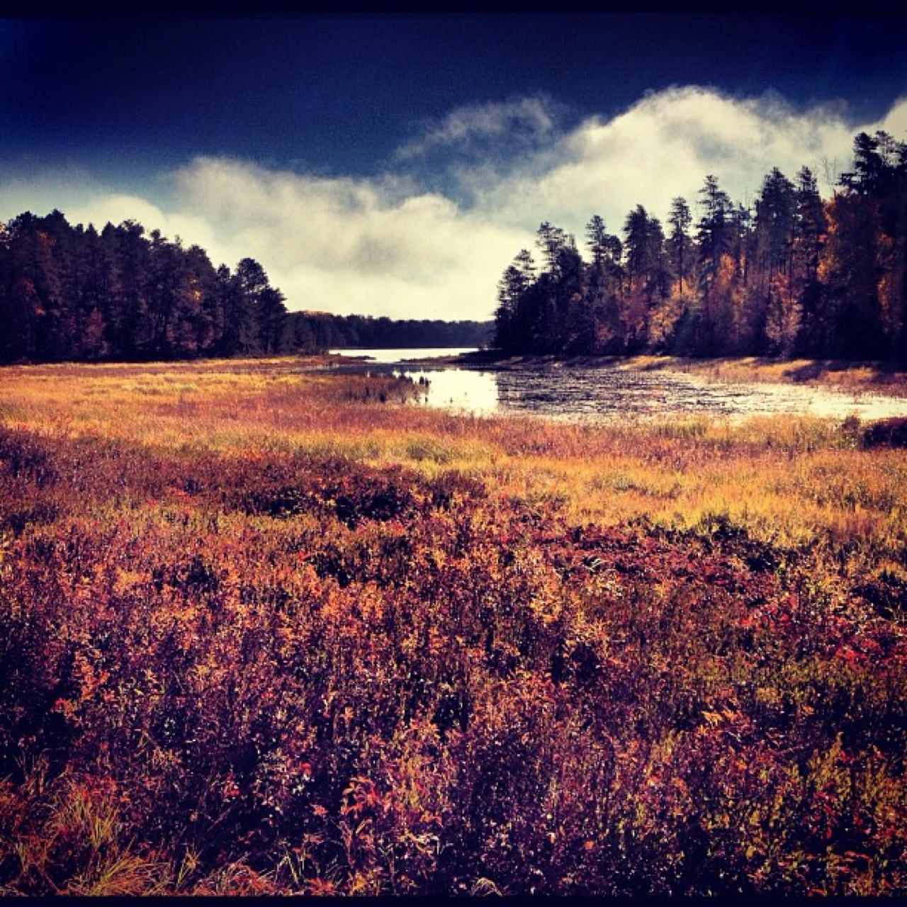 Autumn marsh opening onto a lake