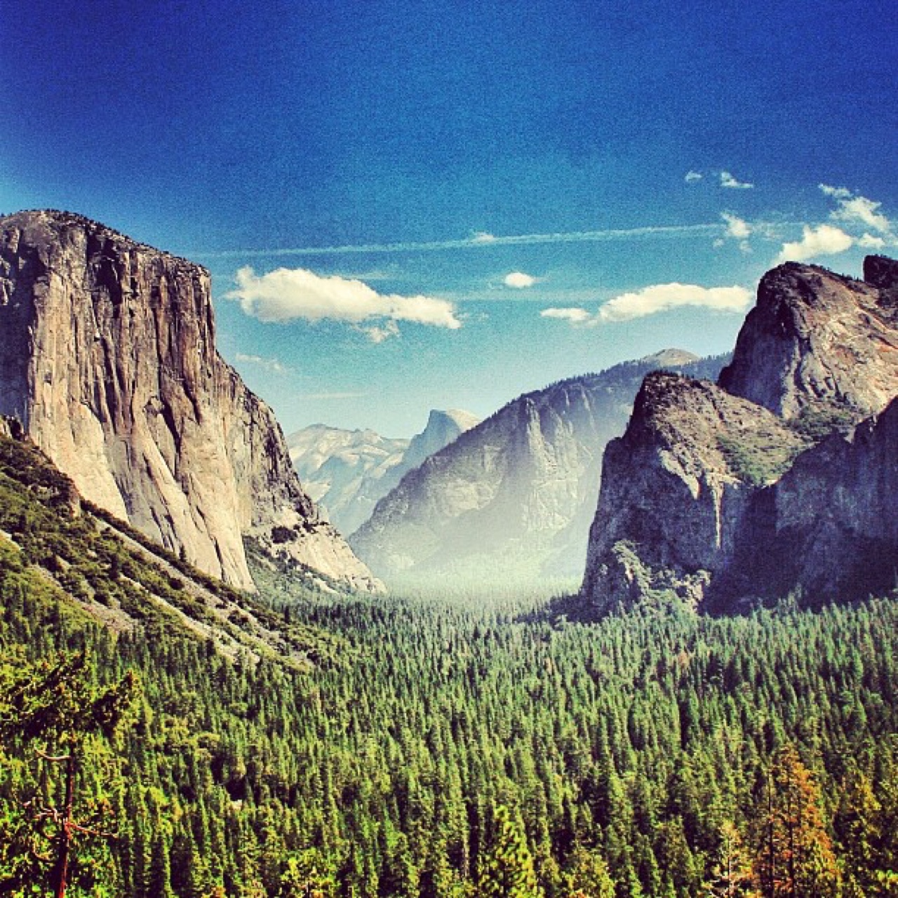 In every walk with nature one receives far more than he seeks.