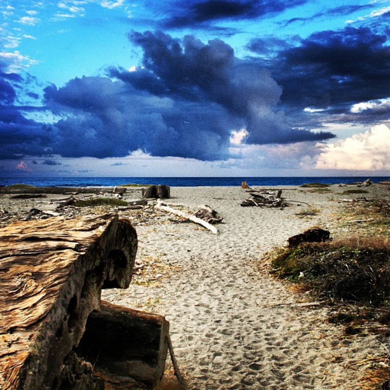 Driftwood beach under gathering clouds