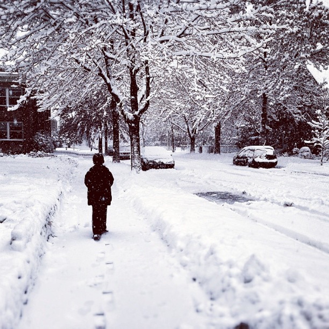 Walking the sidewalk in fresh snow