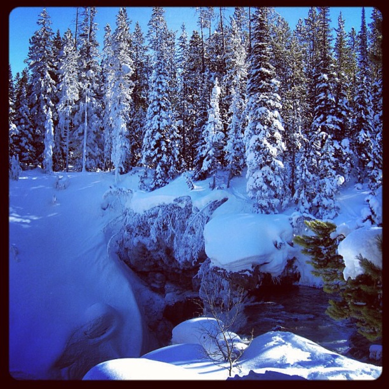 Deep snow banked over a forest creek