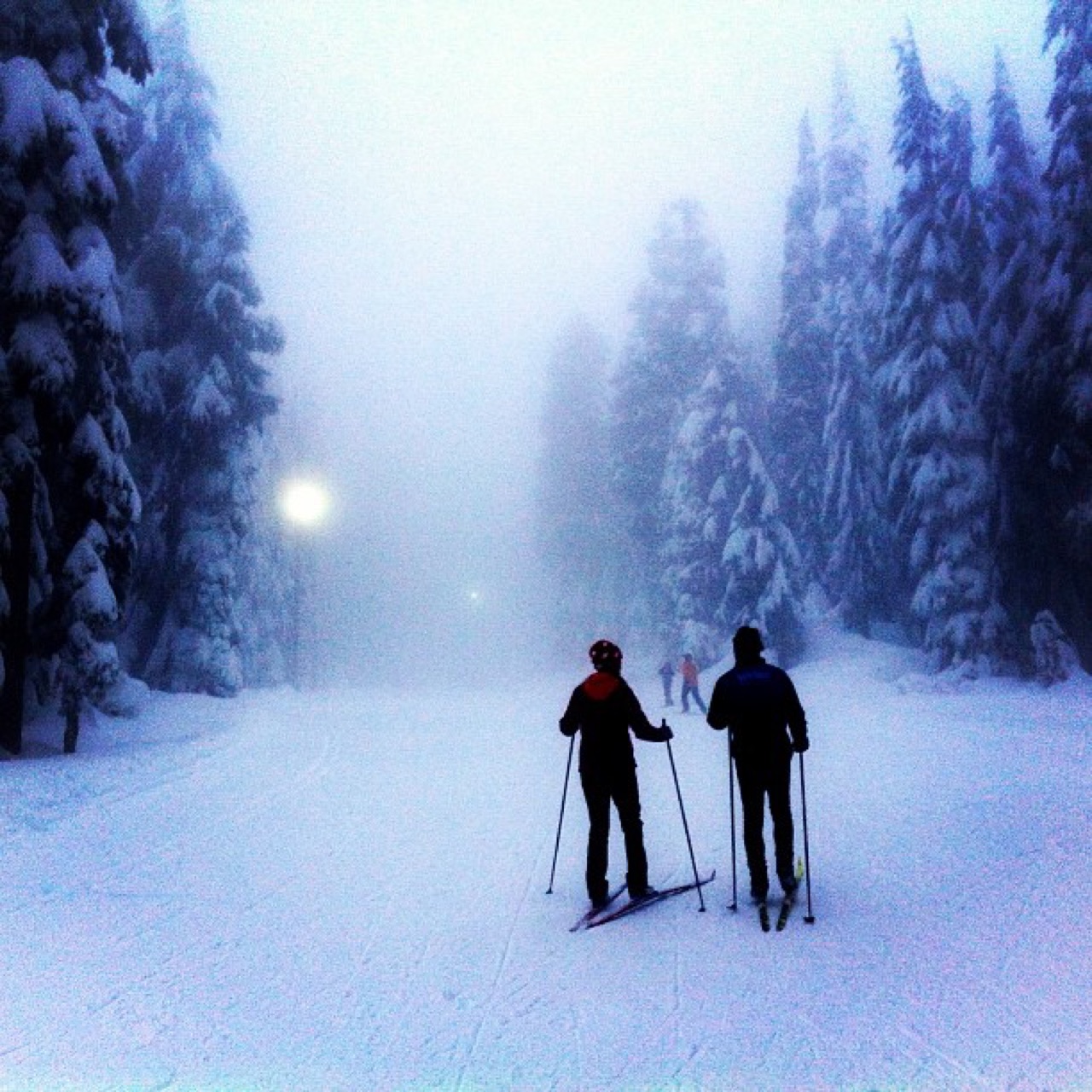 Cross-country skiers in freezing fog
