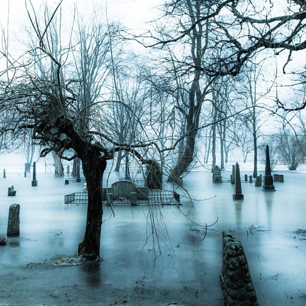 Misty graveyard on an icy morning.