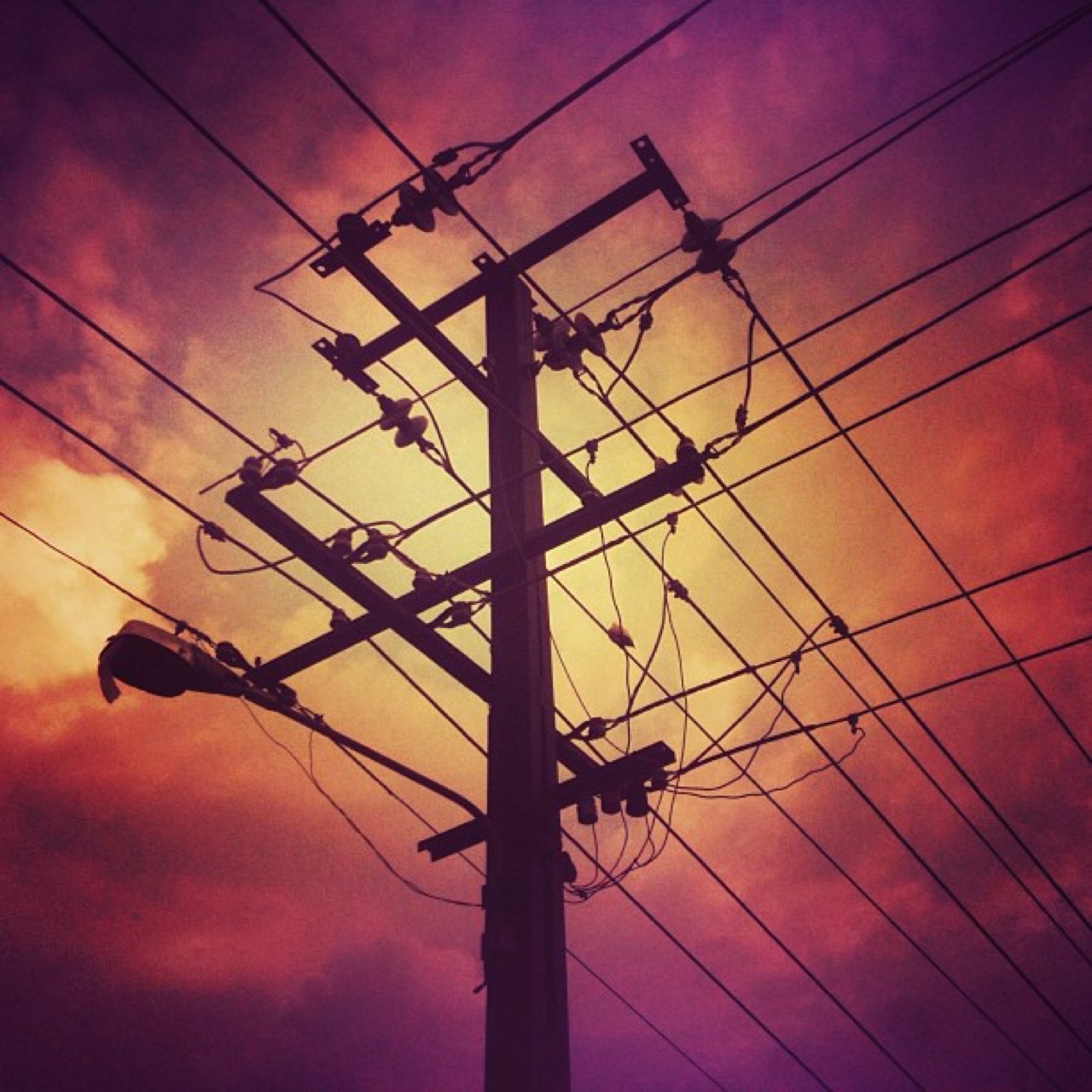 There are neat things lurking in the alley, early in the morning.