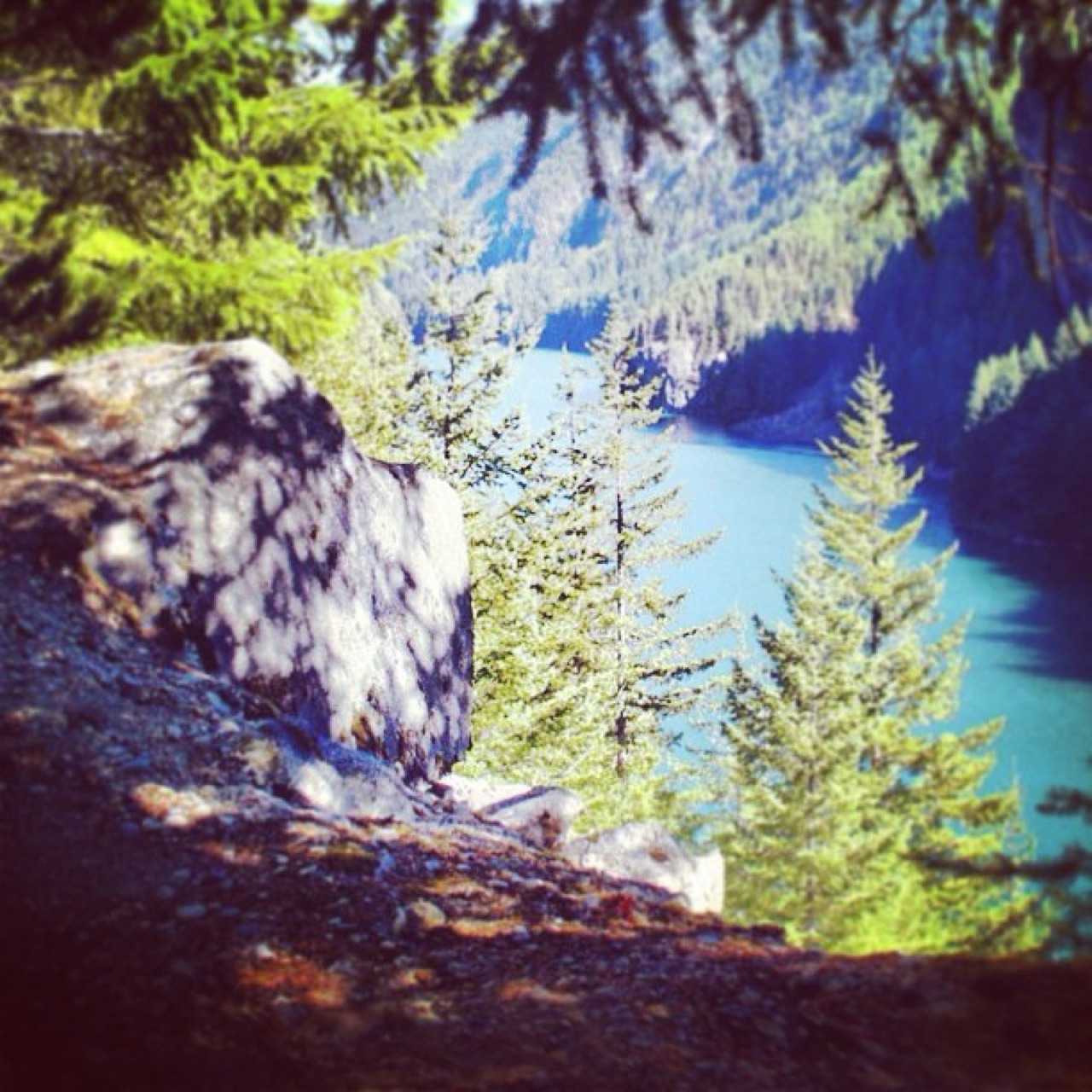 #cascades #nationalpark #gorge