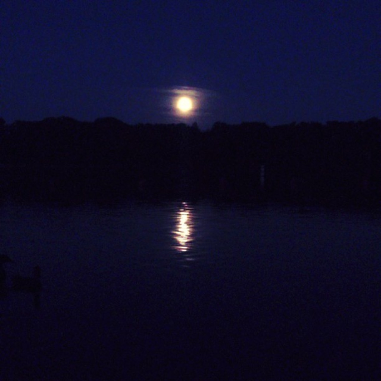 #supermoon #rise