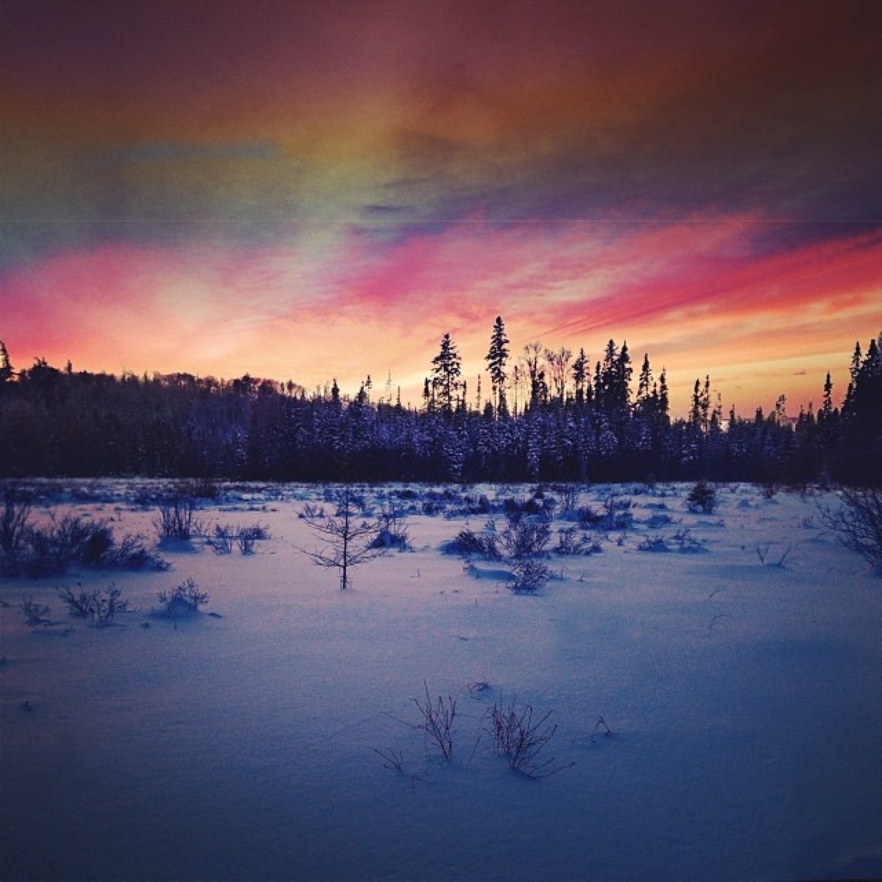 -30° F but too beautiful not to go cross-country #skiing.