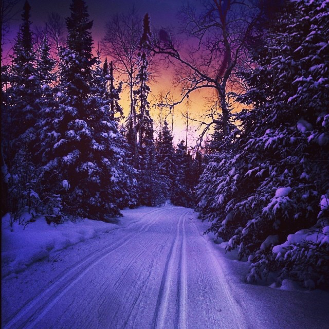 An evening ski in the Boundary Waters.