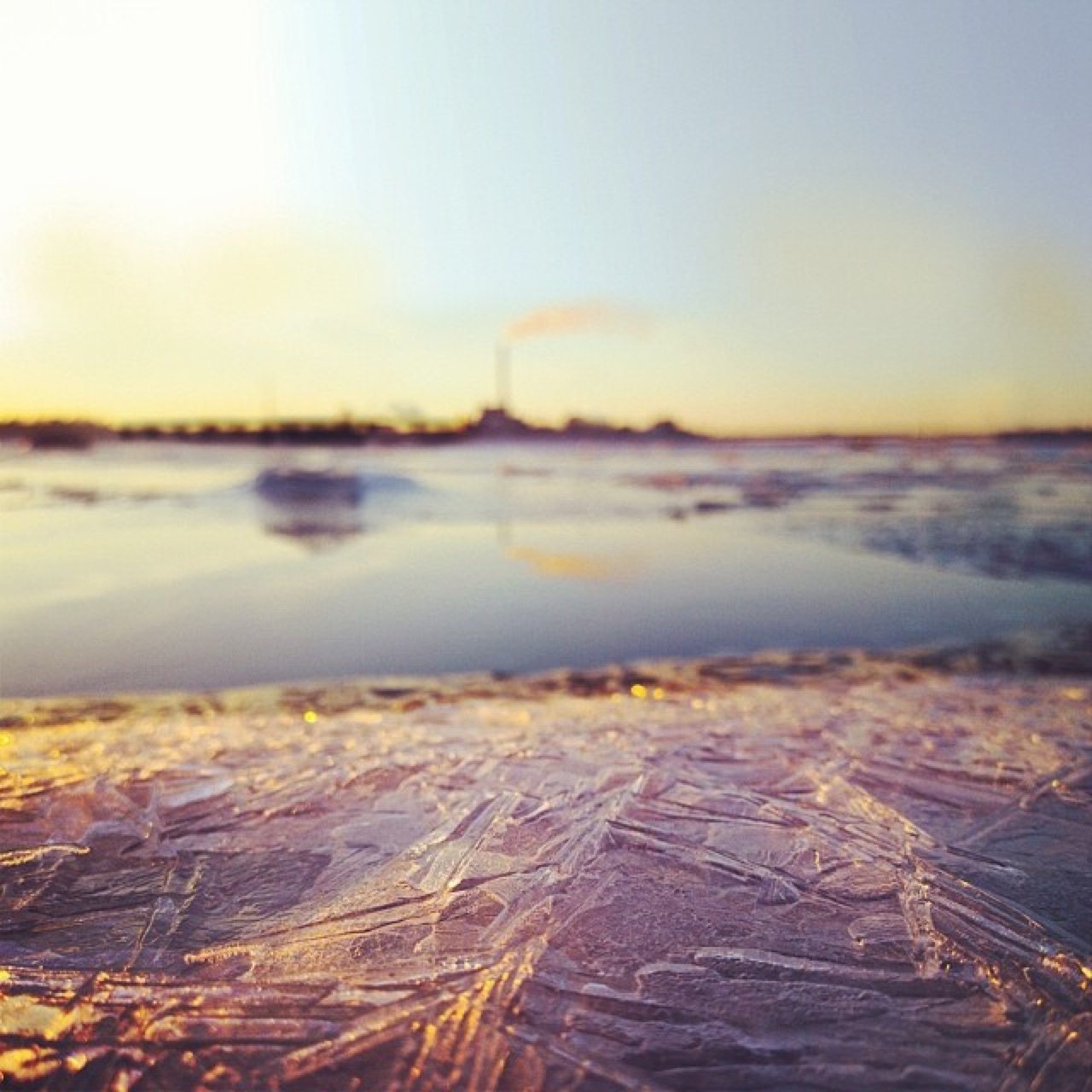 Last glimpse of ice