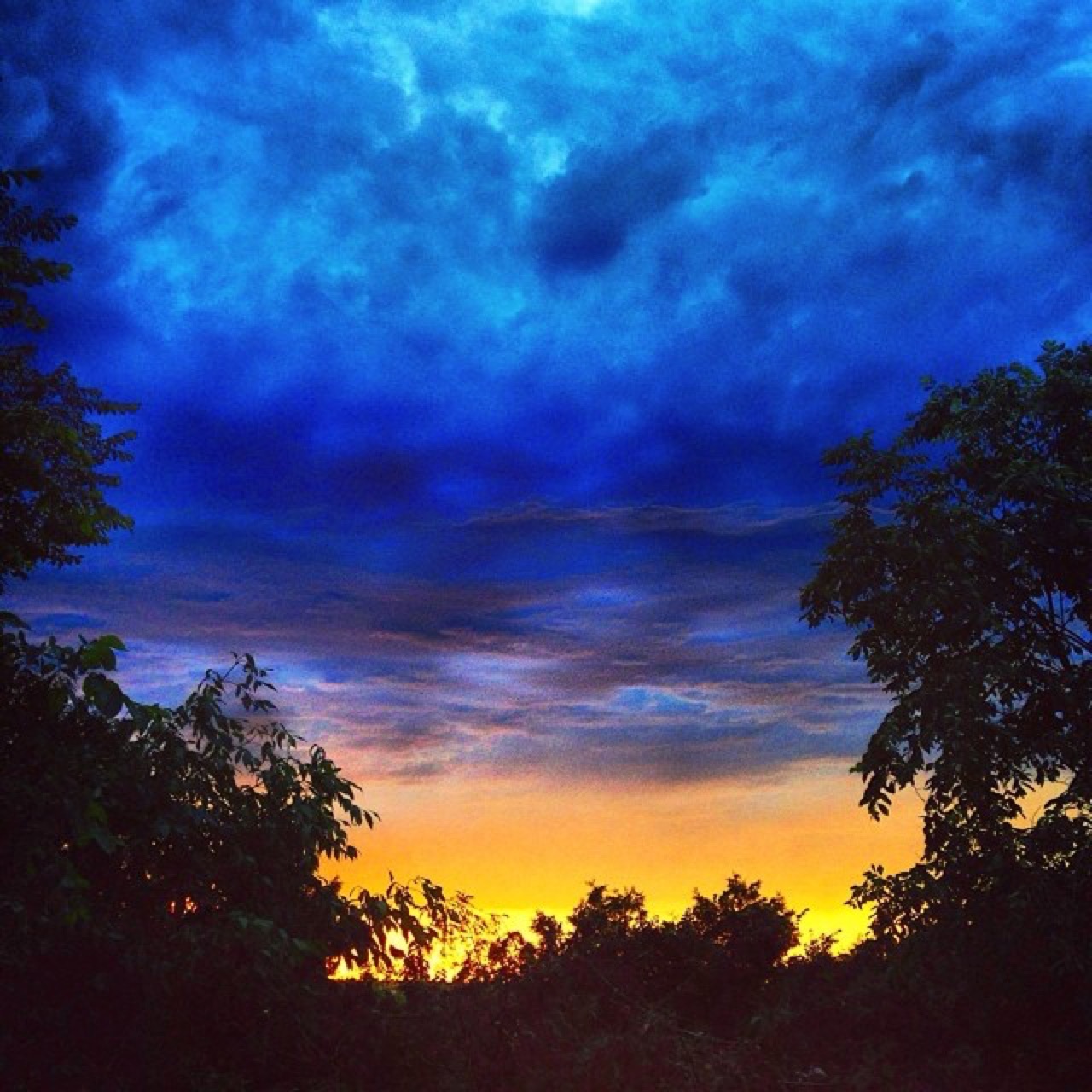 A view from my art studio.