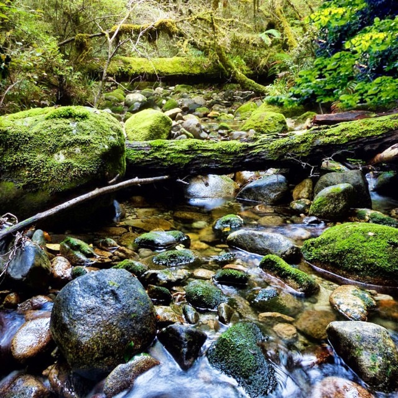 An adventure to make it from the Falls to the Bay with many beautiful…