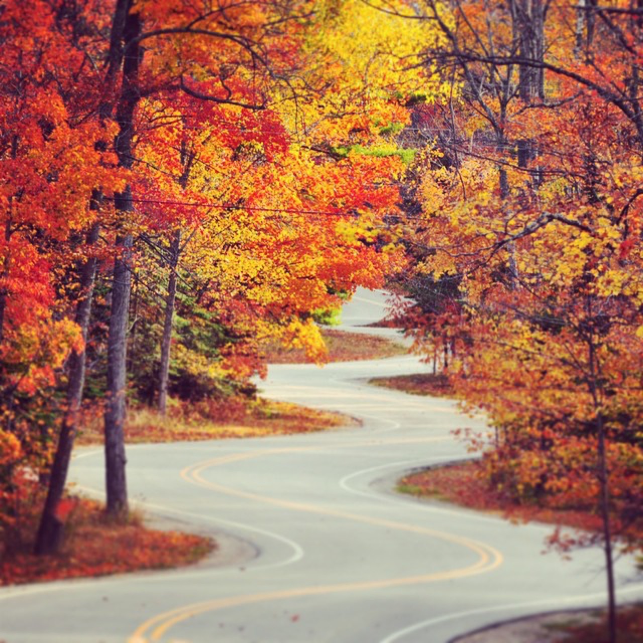 The drive back after a wonderful night of camping under the blood full…