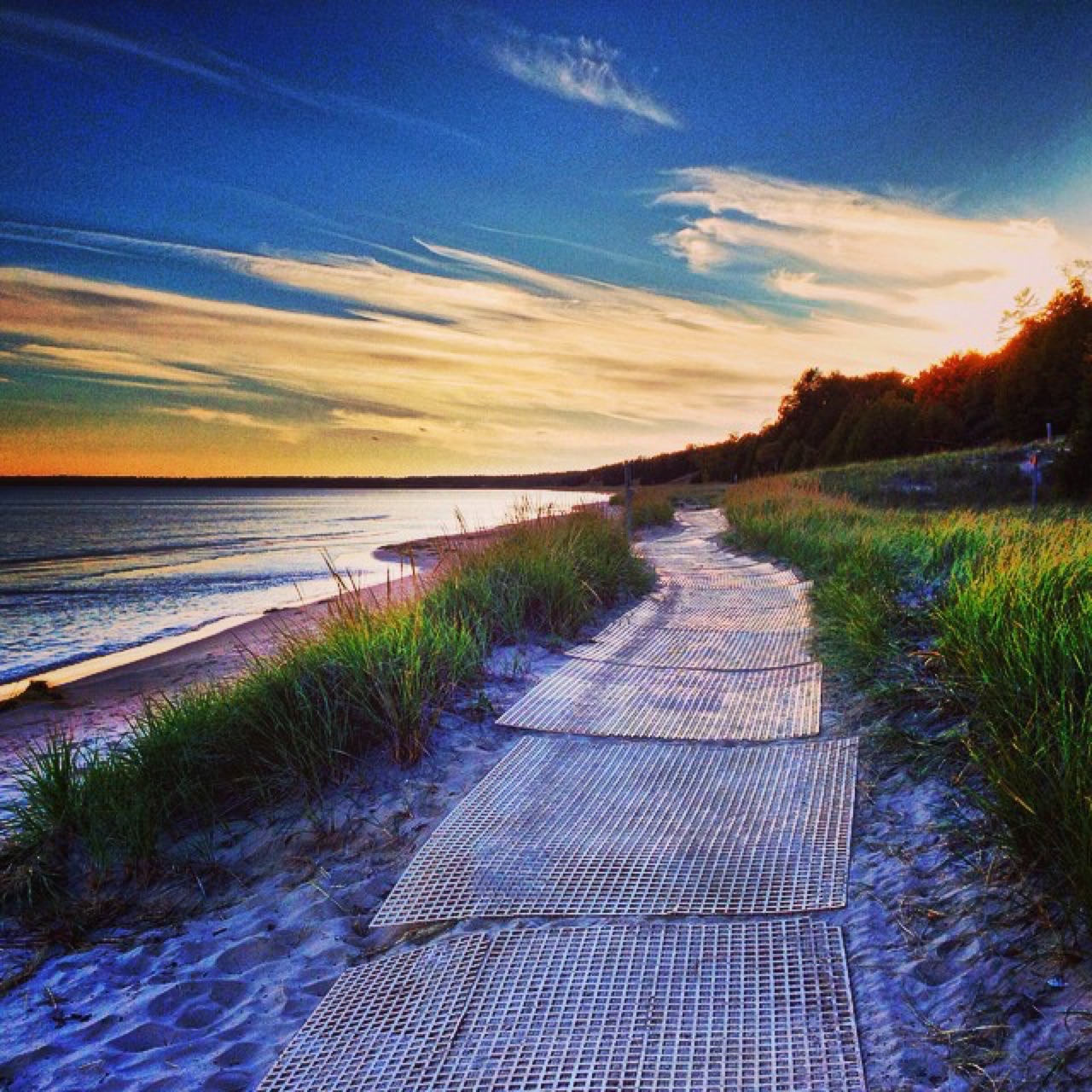 Beach walkway through the dune grass