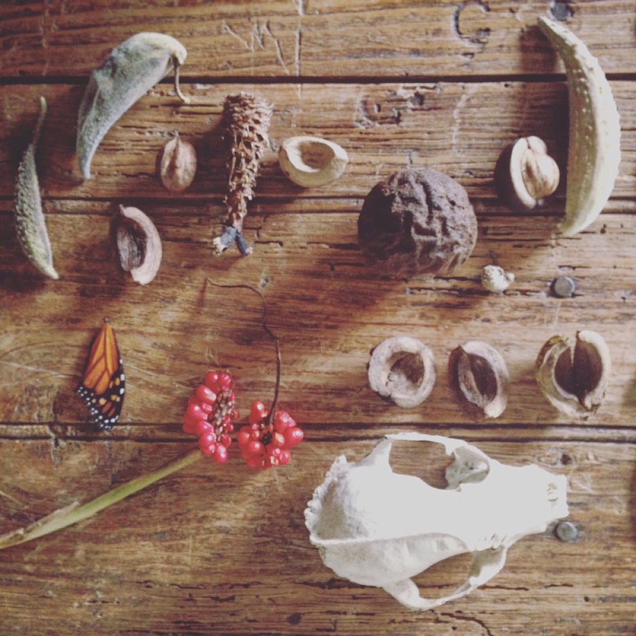 This morning's findings.