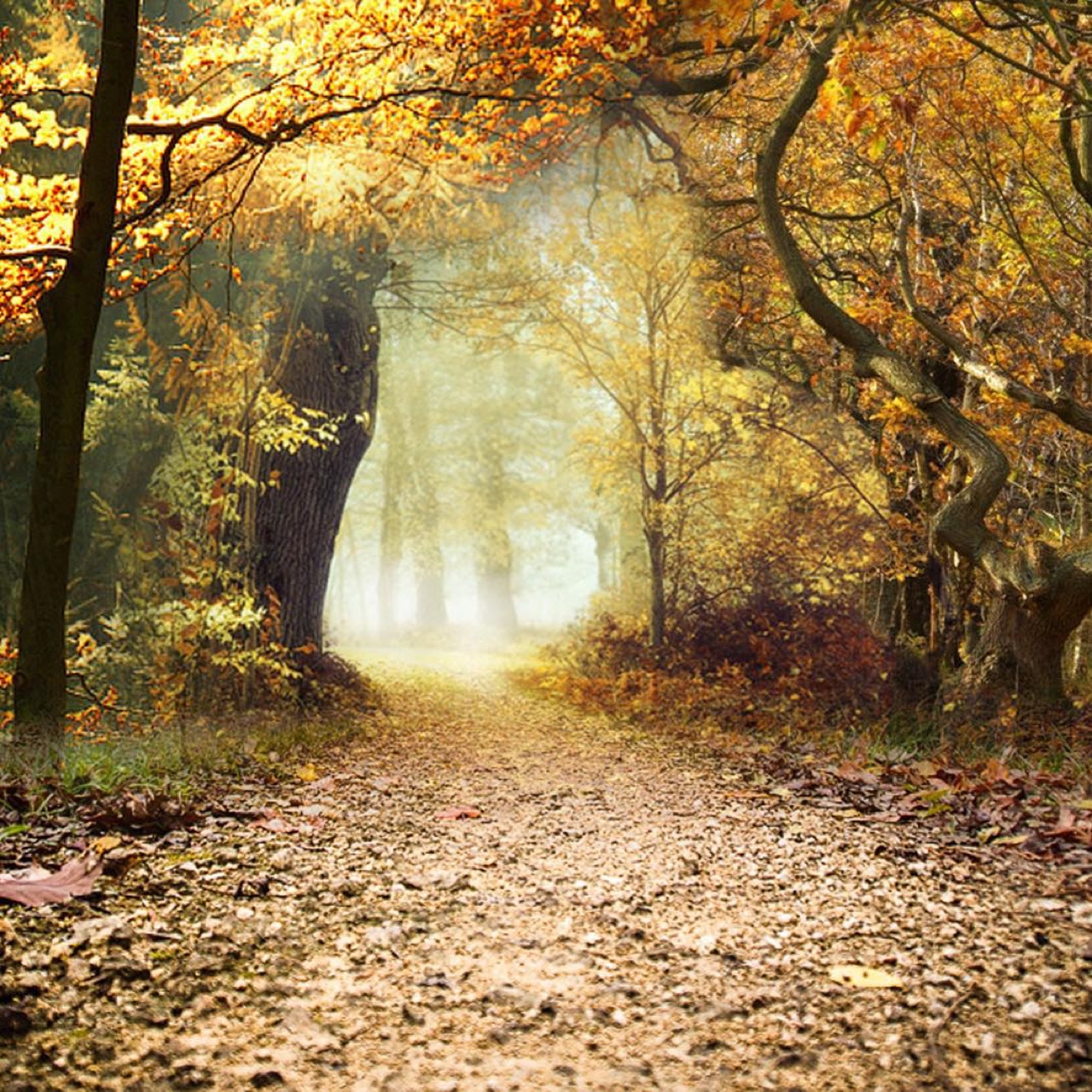 when is see this on a morning walk I'm compelled to capture it because…