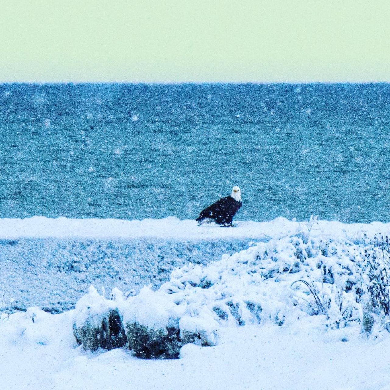 Only one fisherman out on the breakwater this morning.