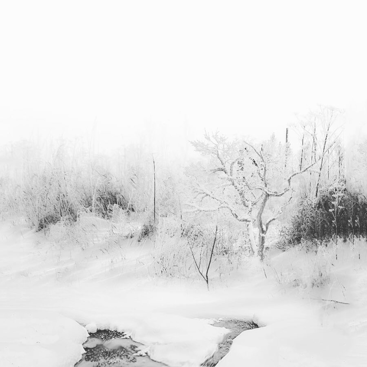 Another otherworldly "blizzard" to ski in.