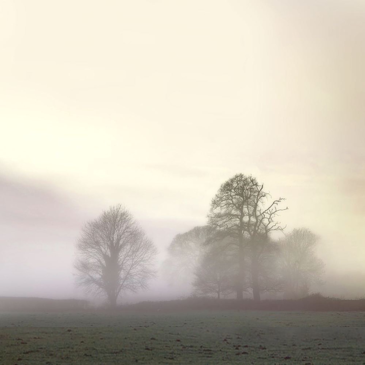 Early morning walk.