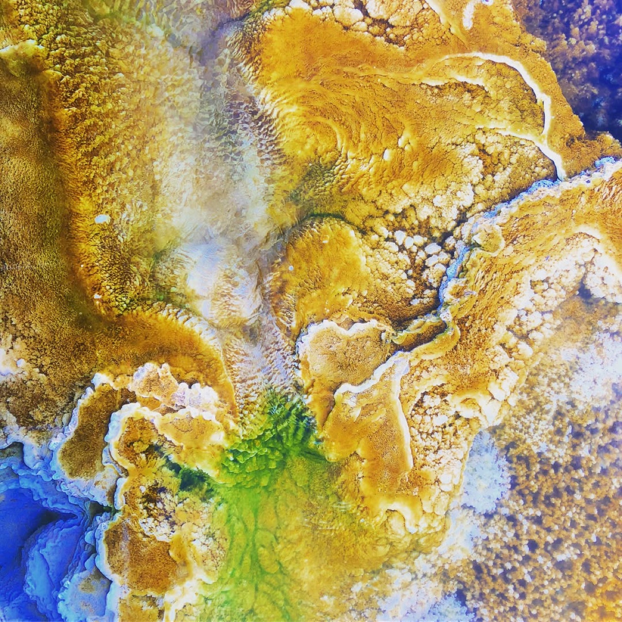 Lumbering about above the epicenter of the super volcano provides…