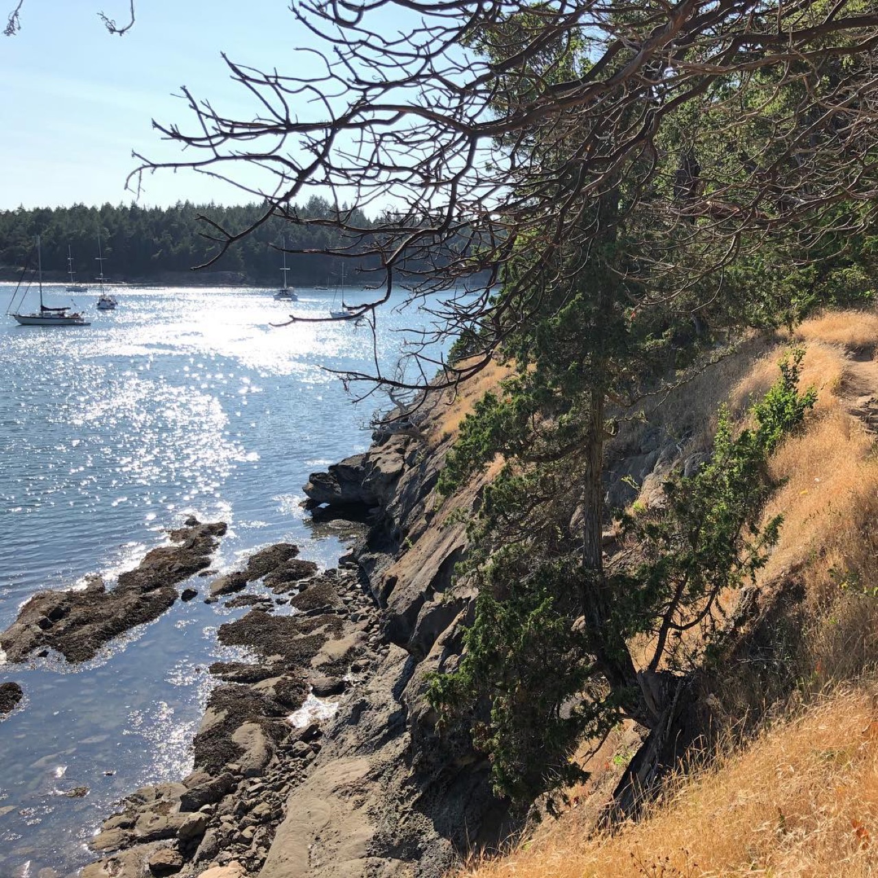Hiking on Sucia island.