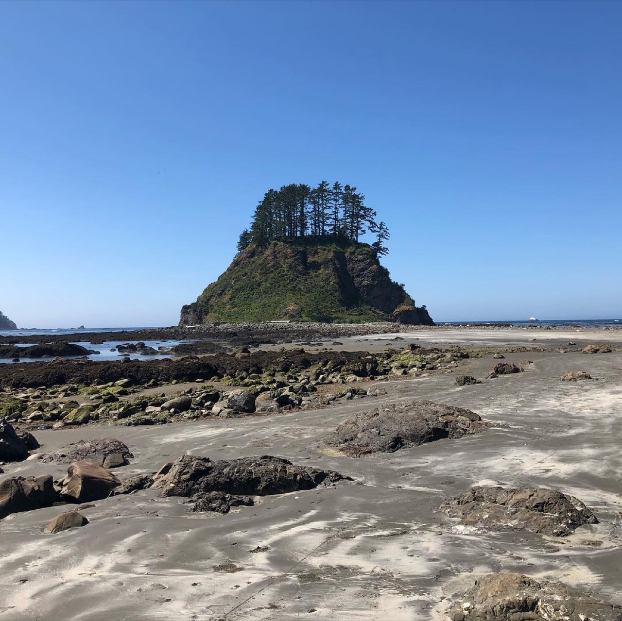 We came across what seemed to be a sacred land along the sea after a…