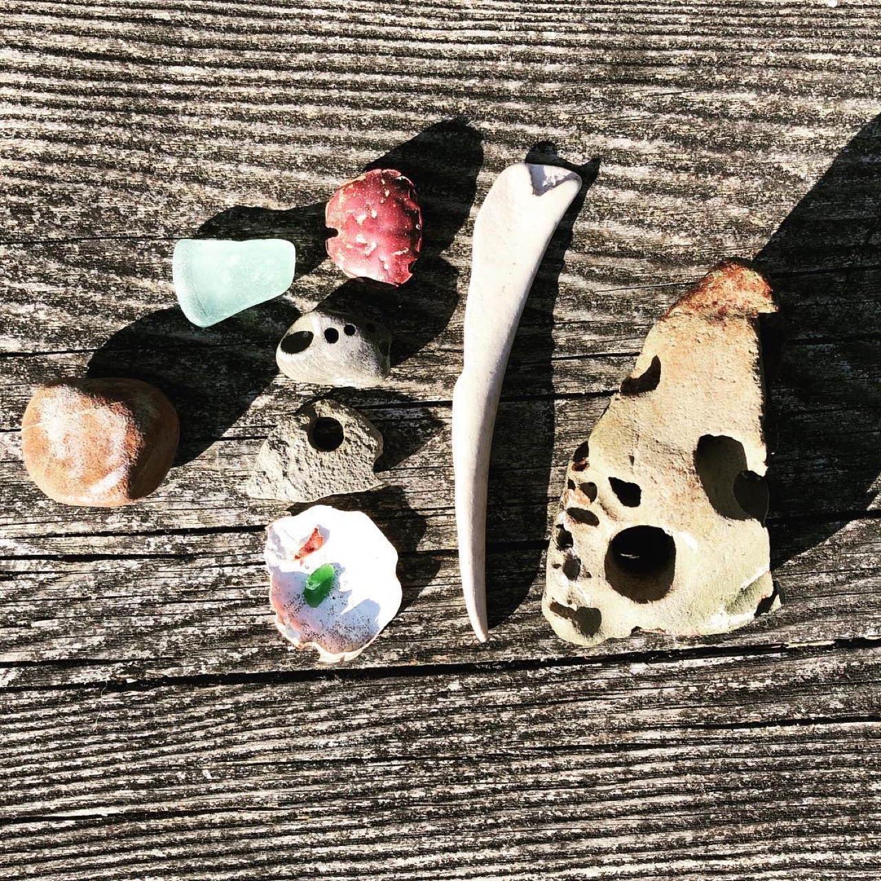 Today’s findings.