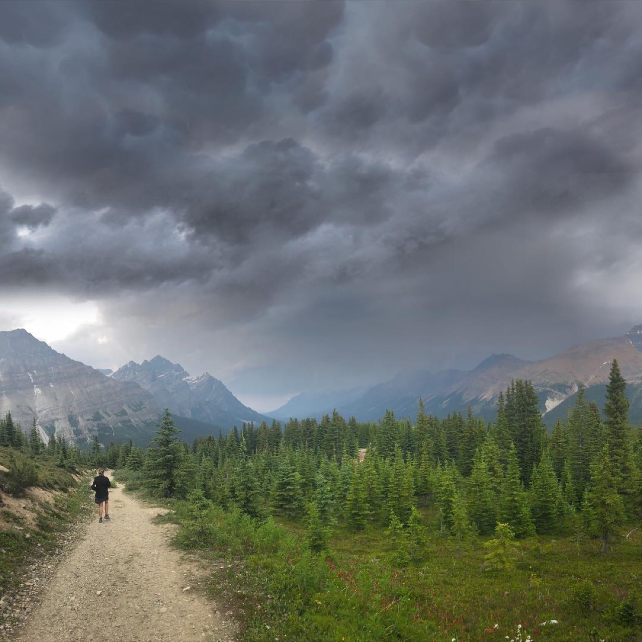 Our first hike in Banff and a storm starts coming in while we’re on the…