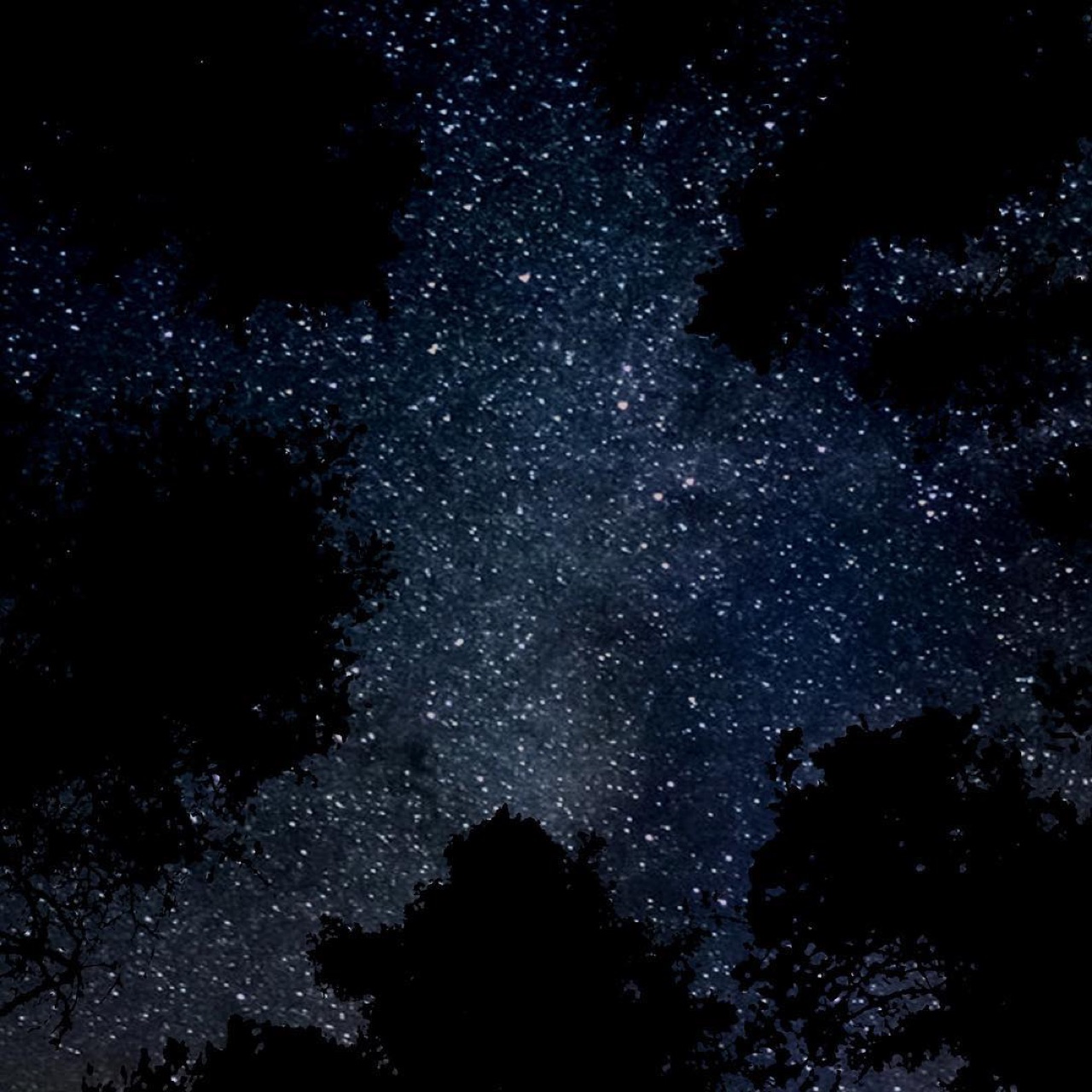Stars through a gap in the treetops