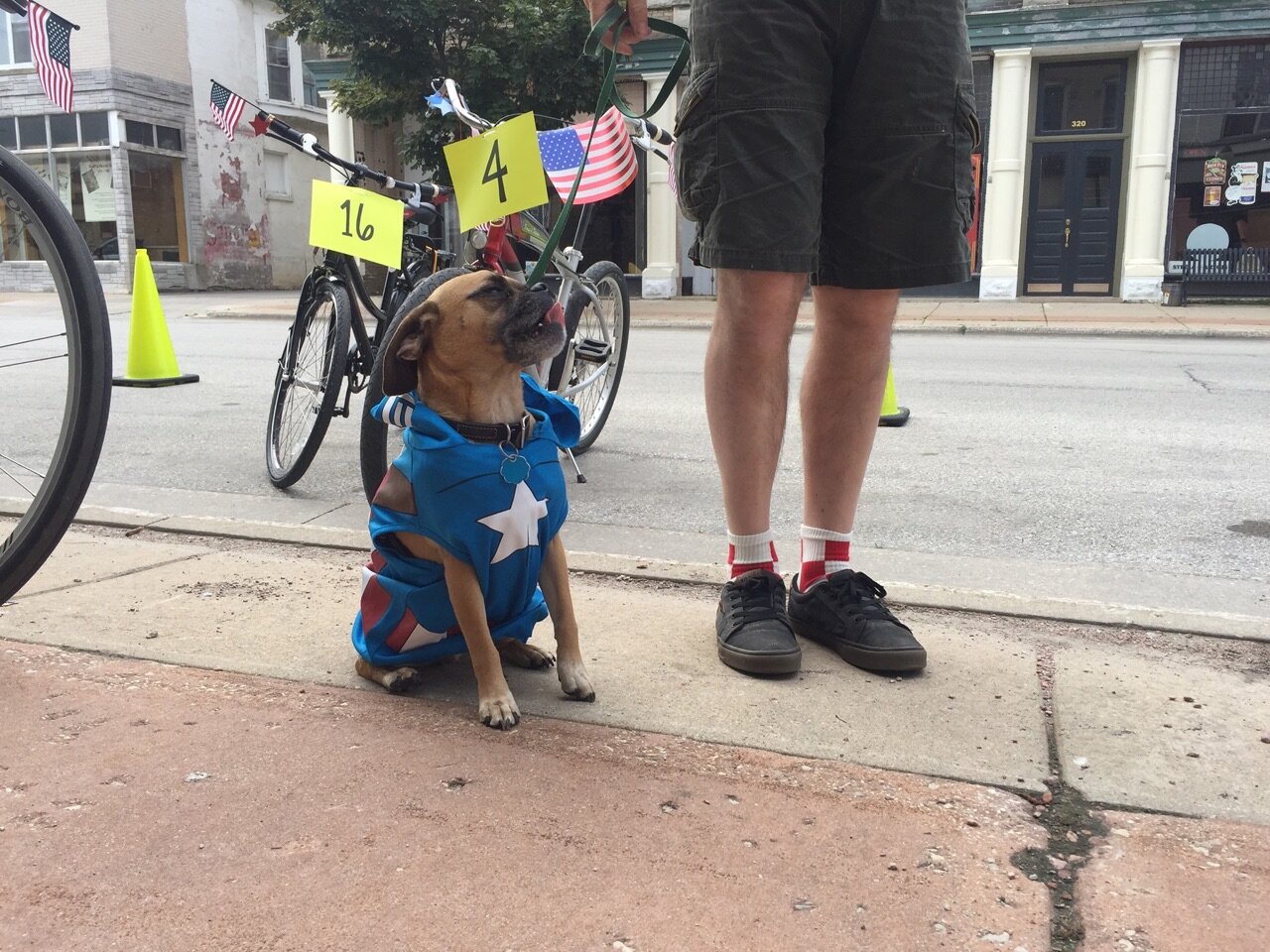 Announcing Milo J.
